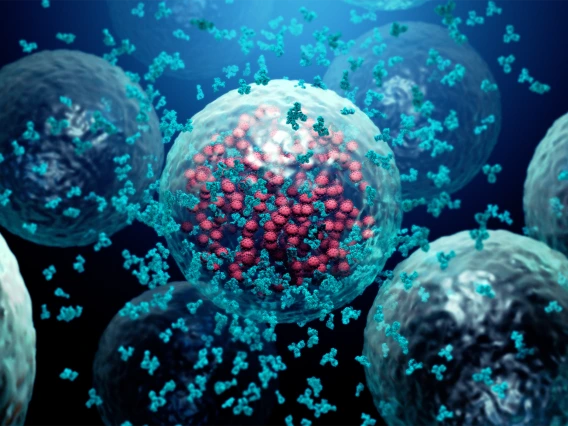 Cells